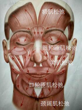 肌肉的衰老.jpg