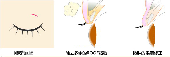 QQ截圖20140325135152.jpg