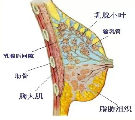 QQ截圖20150122122408.jpg