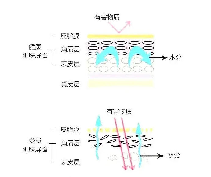 wechat_2025-10-25_173235_317.jpg